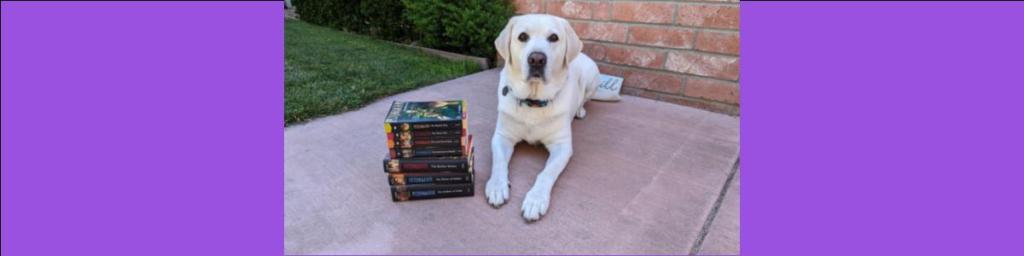 Book Review: “Pendragon The Soldiers of Halla” by D.J.&nbsp;MacHale