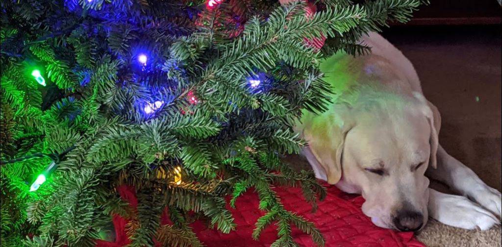 A Micro-Thriller Original Story: “Santa”  by Mike&nbsp;Pihlman