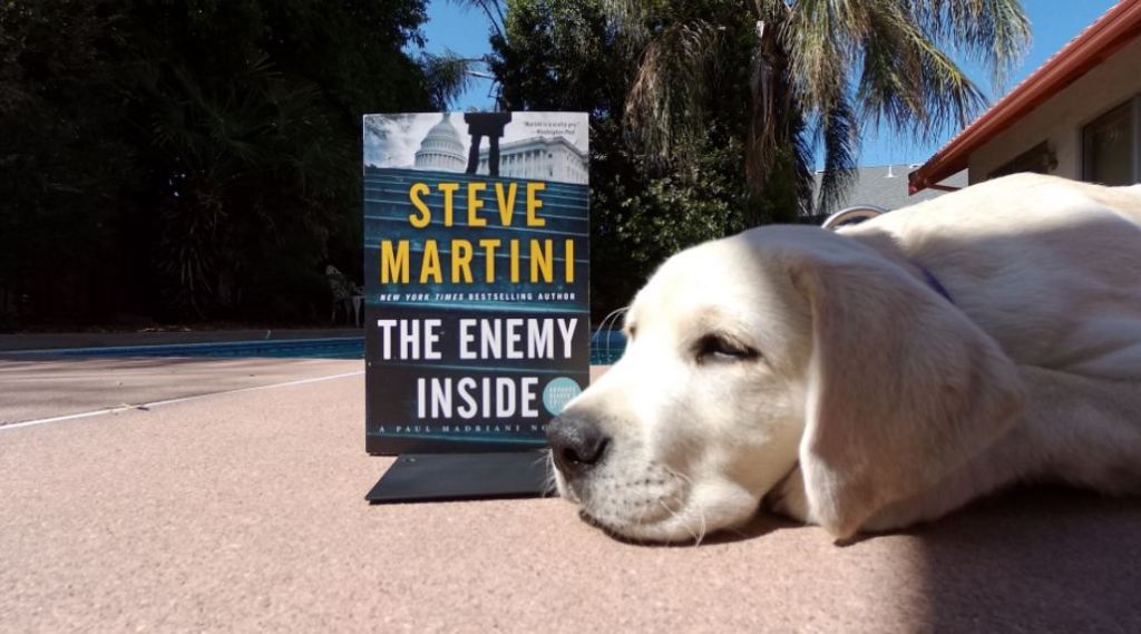 Book Review: “The Enemy Inside” by Steve&nbsp;Martini