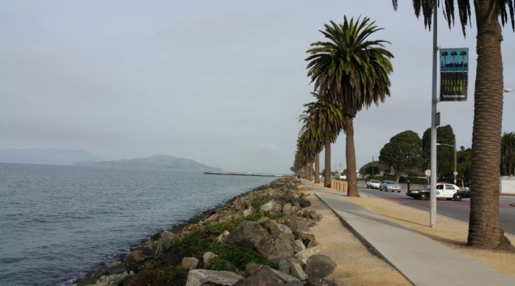 avenue of the palms and police
