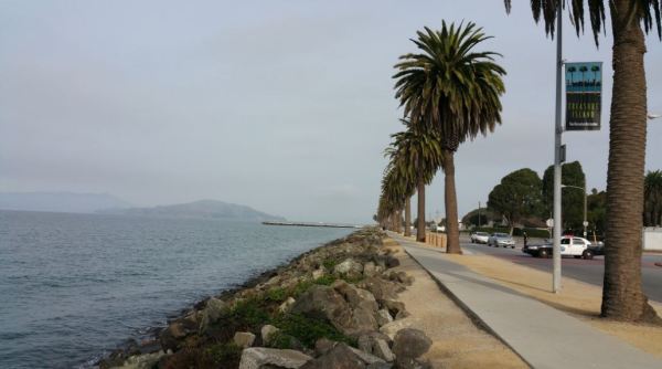 avenue of the palms and police