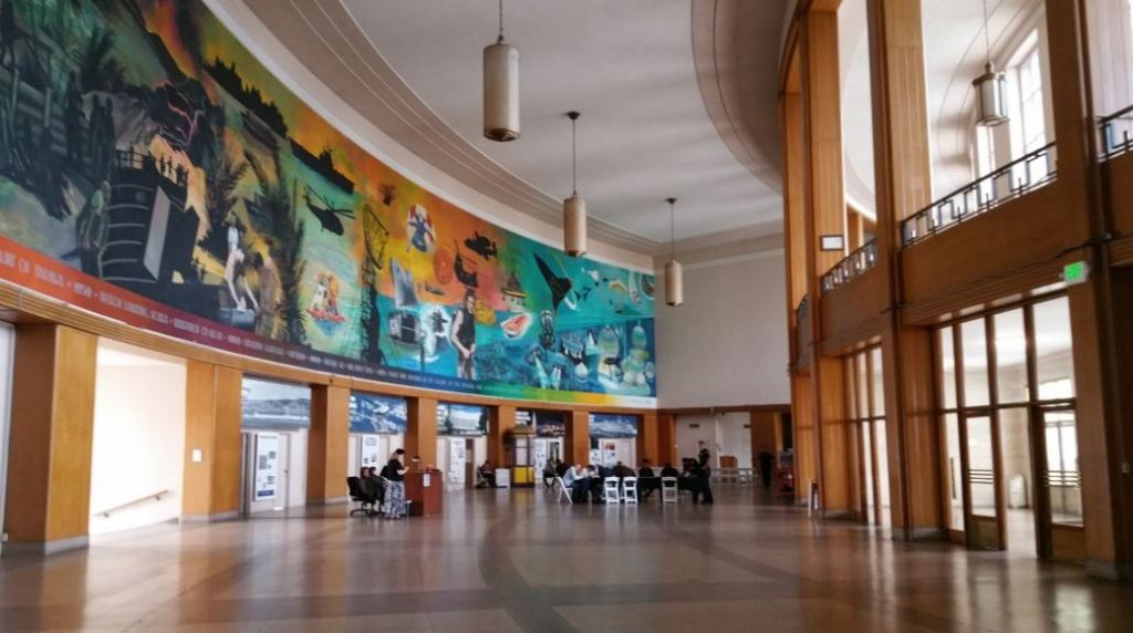 inside the museum witnesses being interviewed