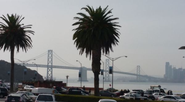 SFPD and SF Media
