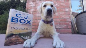 endangered and blaze