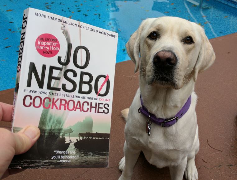 Book Review: “Cockroaches” by Jo&nbsp;Nesbo