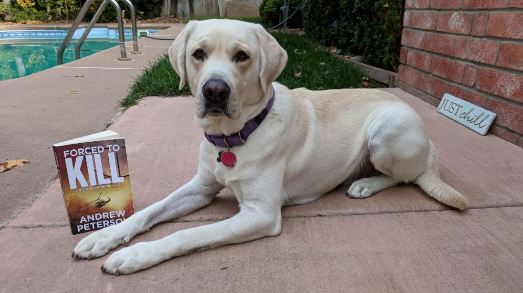 Book Review: “Forced to Kill” by Andrew&nbsp;Peterson