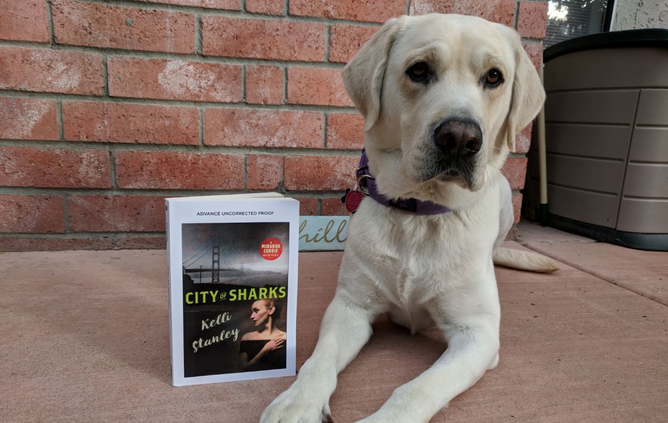 blaze and city of sharks