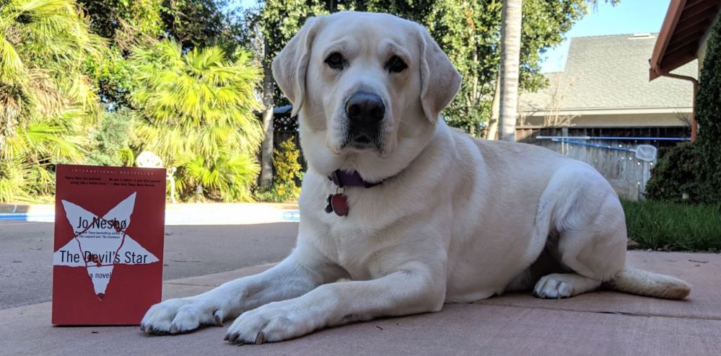 Book Review: “The Devil’s Star” by Jo&nbsp;Nesbo