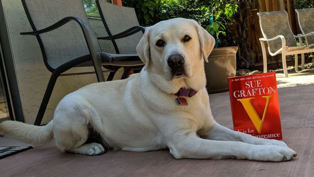 Book Review: “V is for Vengeance” by Sue&nbsp;Grafton