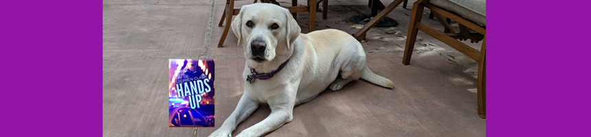 Book Review: “Hands Up” by Stephen&nbsp;Clark