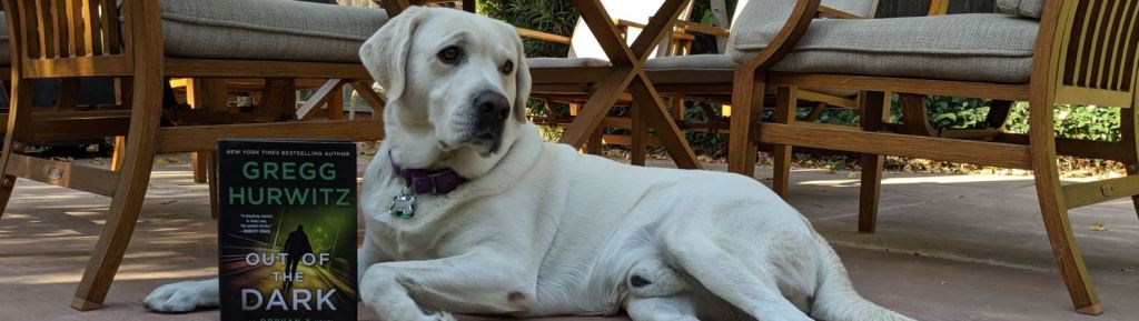 Book Review: “Out of the Dark” by Gregg&nbsp;Hurwitz