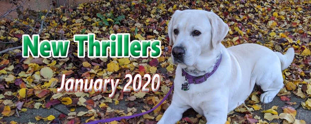 January 2020 Thrillers