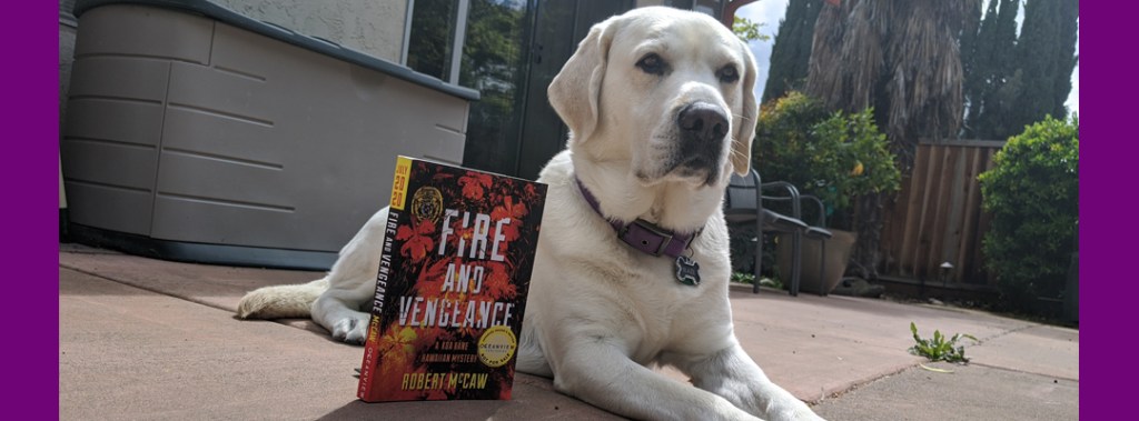 Book Review: “Fire and Vengeance” by Robert&nbsp;McCaw