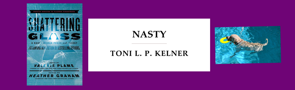 Short Story Summary: “Nasty” by Toni L P&nbsp;Kelner