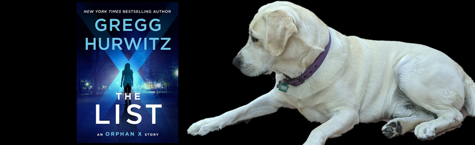 Short Story Summary: “The List” by Gregg&nbsp;Hurwitz