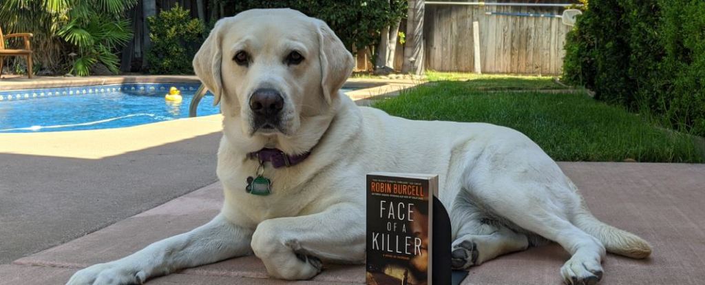 Book Review: “Face of a Killer” by Robin&nbsp;Burcell