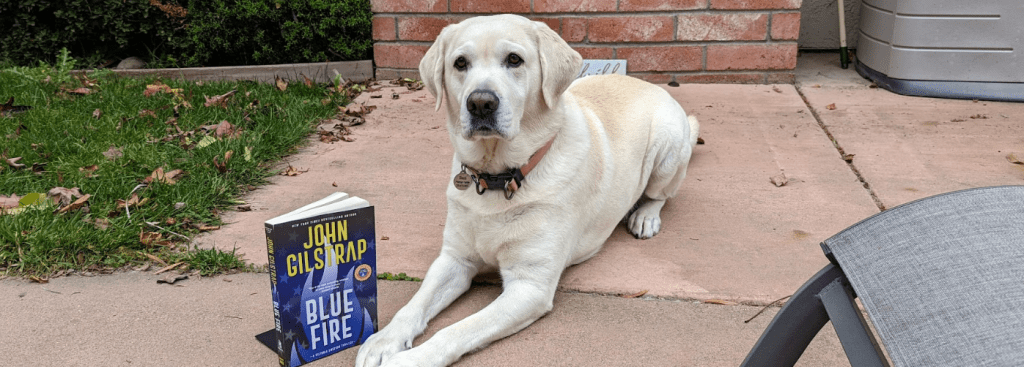 Book Review: “Blue Fire” by John&nbsp;Gilstrap