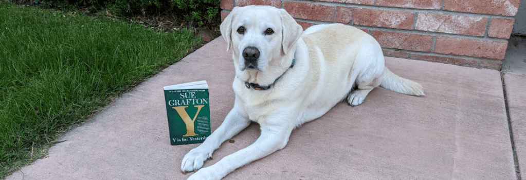 Book Review: “Y is for Yesterday” by Sue&nbsp;Grafton