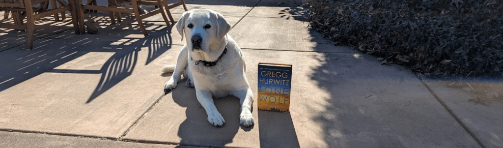 Book Review: “Lone Wolf” by Gregg&nbsp;Hurwitz