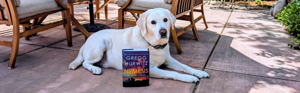 Book Review: “Nemesis” by Gregg&nbsp;Hurwitz